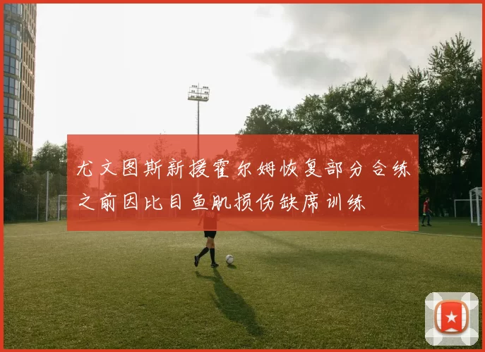 尤文图斯新援霍尔姆恢复部分合练之前因比目鱼肌损伤缺席训练